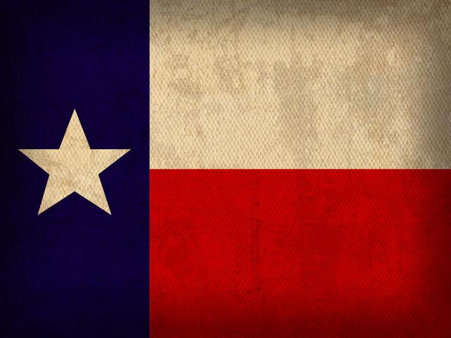 texas-state-flag-lone-star-state-art-on-worn-canvas-design-turnpike.jpg